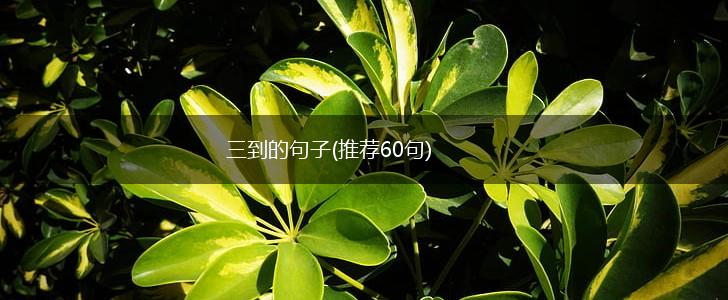 三到的句子(推荐60句),第1张
