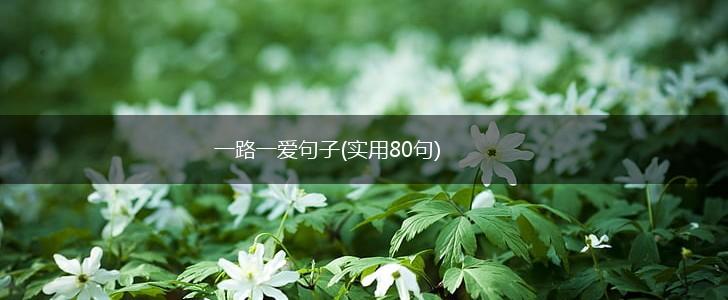一路一爱句子(实用80句),第1张