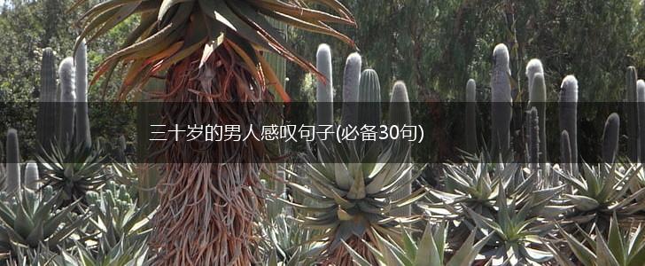 三十岁的男人感叹句子(必备30句),第1张
