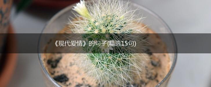 《现代爱情》的句子(精选15句),第1张