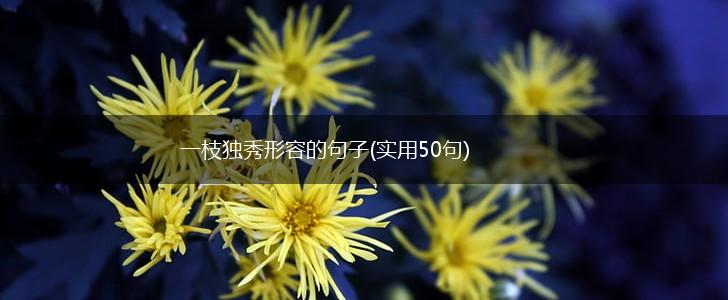 一枝独秀形容的句子(实用50句),第1张