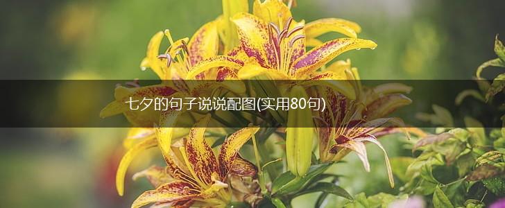 七夕的句子说说配图(实用80句),第1张