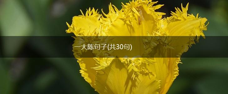 一大陈句子(共30句),第1张