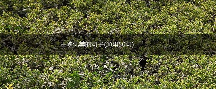 三峡优美的句子(通用50句),第1张