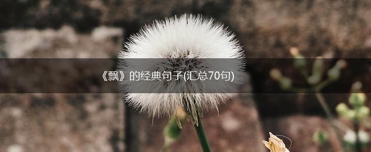 《飘》的经典句子(汇总70句),第1张