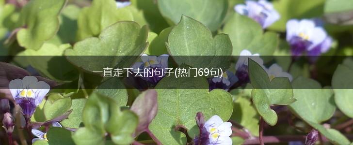 一直走下去的句子(热门69句),第1张