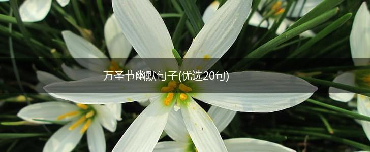 万圣节幽默句子(优选20句),第1张