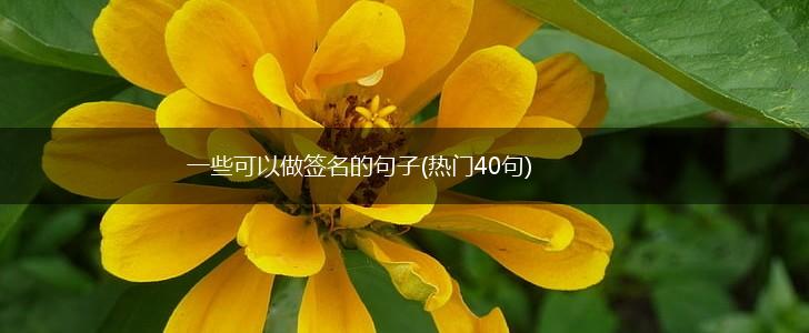 一些可以做签名的句子(热门40句),第1张