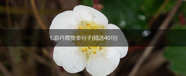 七彩丹霞赞美句子(精选40句),第1张