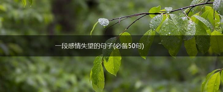一段感情失望的句子(必备50句),第1张
