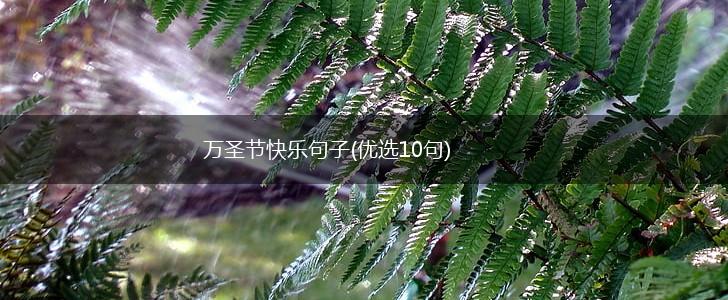 万圣节快乐句子(优选10句),第1张