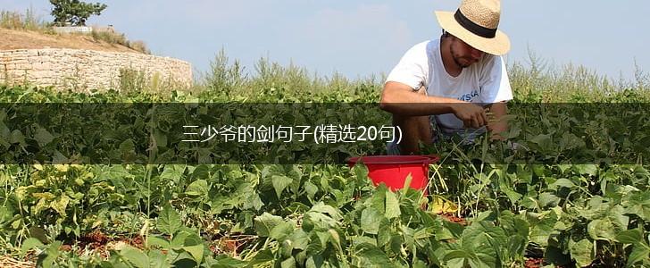 三少爷的剑句子(精选20句),第1张