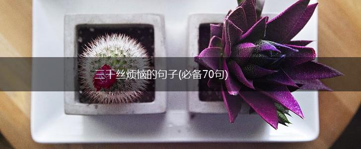三千丝烦恼的句子(必备70句),第1张