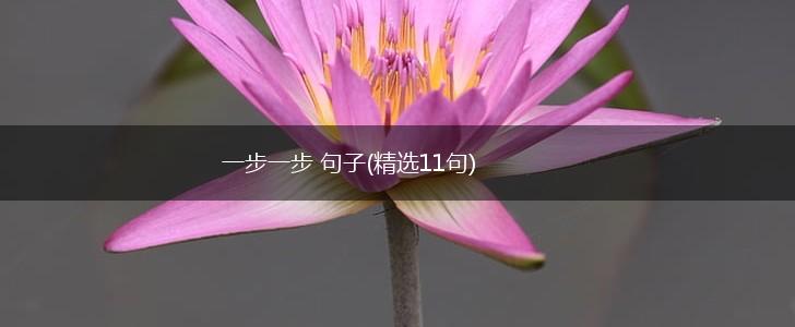 一步一步 句子(精选11句),第1张