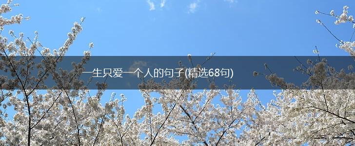 一生只爱一个人的句子(精选68句),第1张