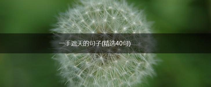 一手遮天的句子(精选40句),第1张