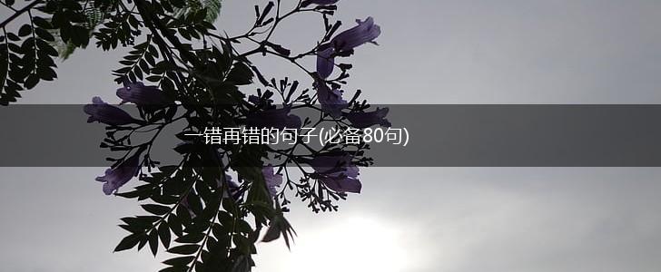一错再错的句子(必备80句),第1张