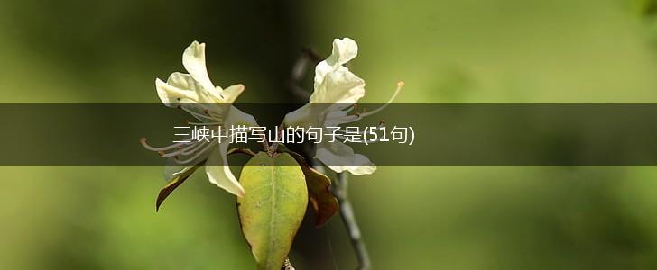 三峡中描写山的句子是(51句),第1张