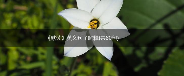 《默读》英文句子解释(共80句),第1张