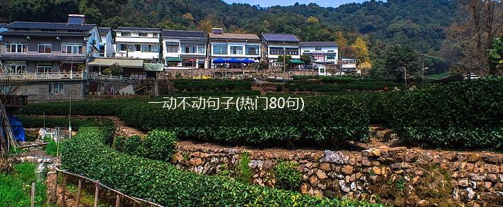 一动不动句子(热门80句),第1张