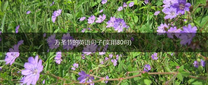 万圣节的英语句子(实用80句),第1张