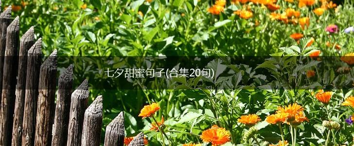 七夕甜蜜句子(合集20句),第1张