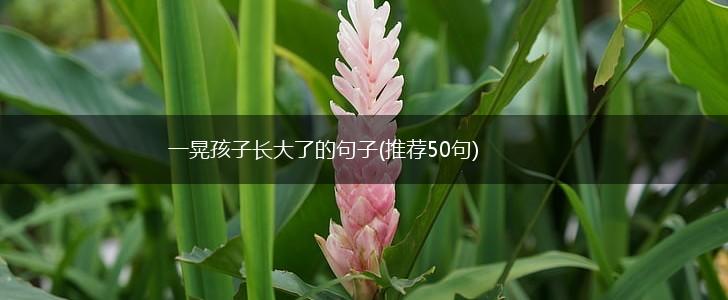 一晃孩子长大了的句子(推荐50句),第1张
