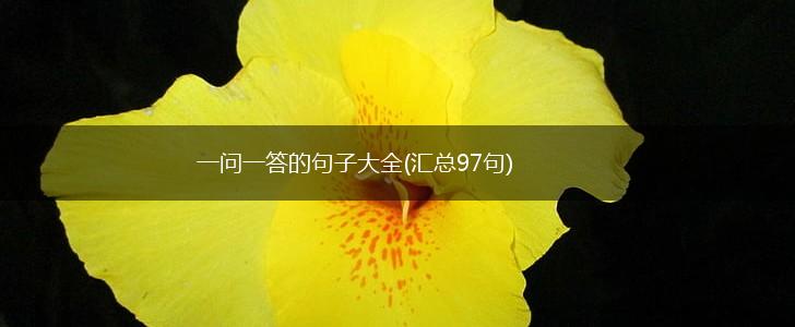 一问一答的句子大全(汇总97句),第1张