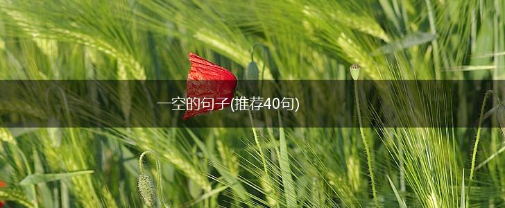 一空的句子(推荐40句),第1张