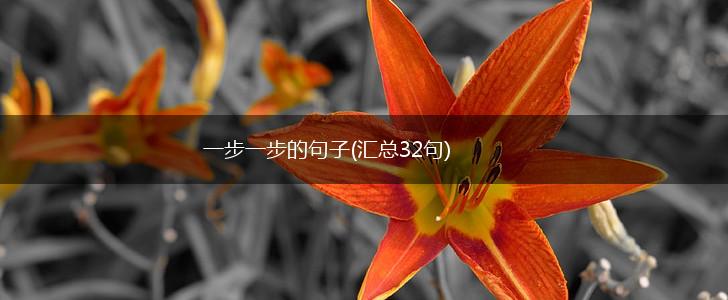 一步一步的句子(汇总32句),第1张