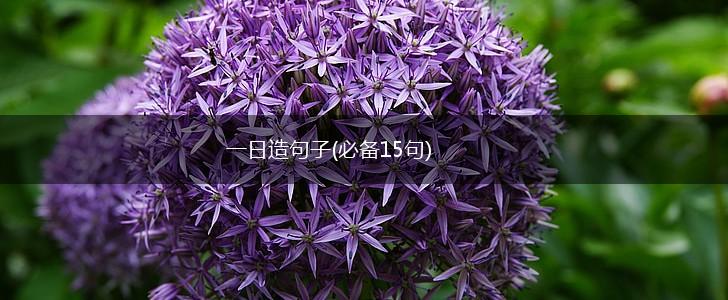 一日造句子(必备15句),第1张