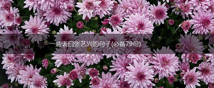 一些表白张艺兴的句子(必备79句),第1张