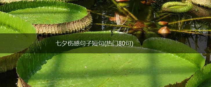 七夕伤感句子短句(热门80句),第1张