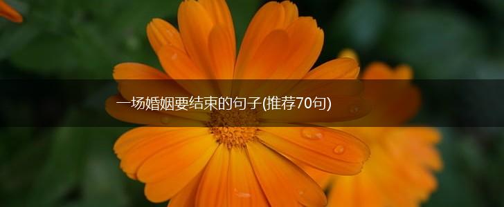 一场婚姻要结束的句子(推荐70句),第1张