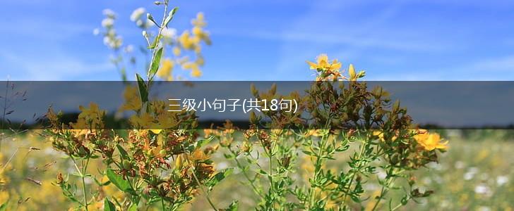 三级小句子(共18句),第1张