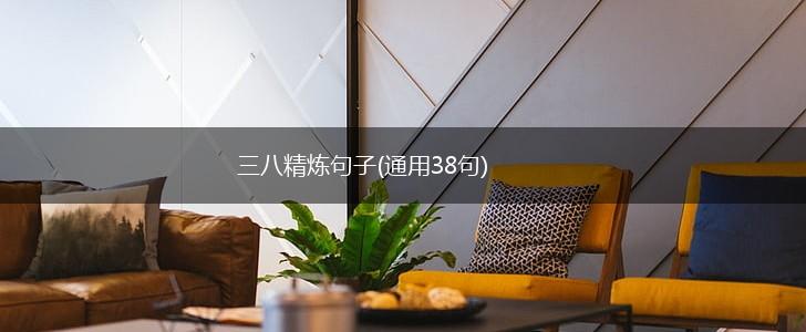 三八精炼句子(通用38句),第1张