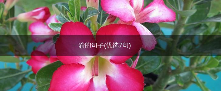 一渝的句子(优选7句),第1张