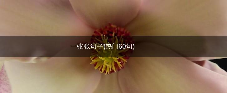 一张张句子(热门60句),第1张
