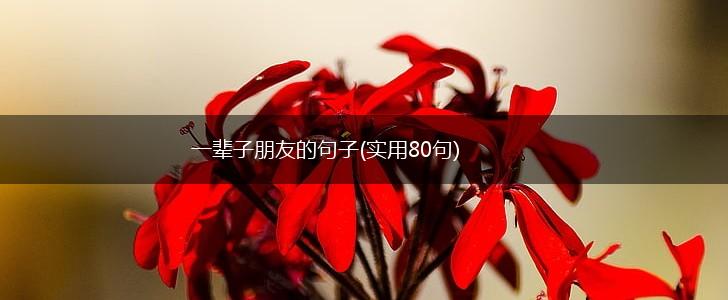 一辈子朋友的句子(实用80句),第1张
