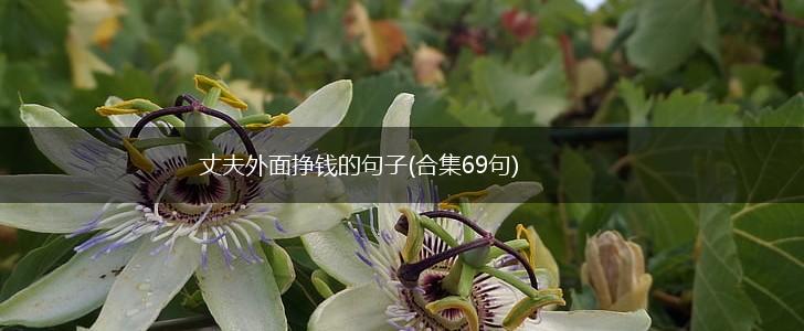 丈夫外面挣钱的句子(合集69句),第1张