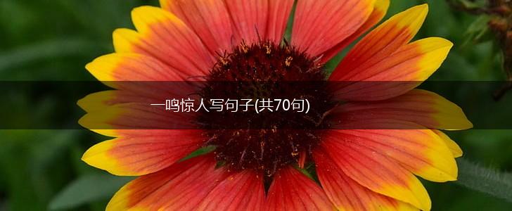 一鸣惊人写句子(共70句),第1张
