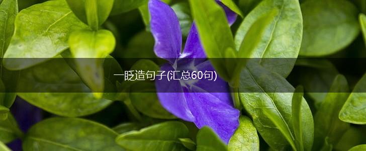 一眨造句子(汇总60句),第1张