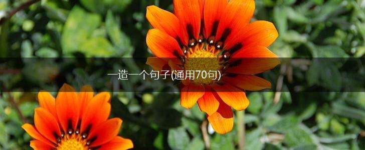 一造一个句子(通用70句),第1张