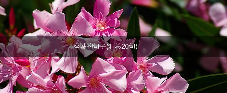 一座城的句子(汇总20句),第1张