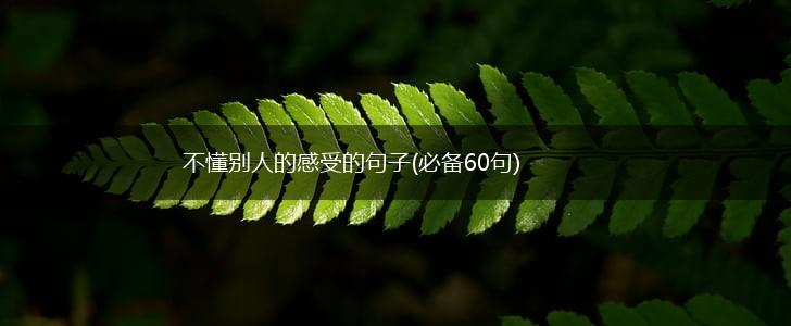 不懂别人的感受的句子(必备60句),第1张
