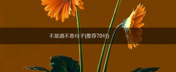 不是酒不香句子(推荐70句),第1张