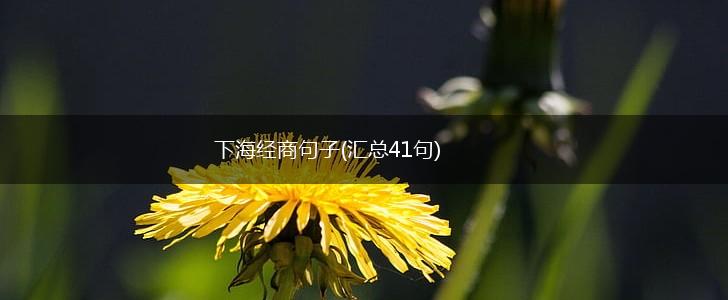 下海经商句子(汇总41句),第1张