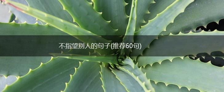 不指望别人的句子(推荐60句),第1张