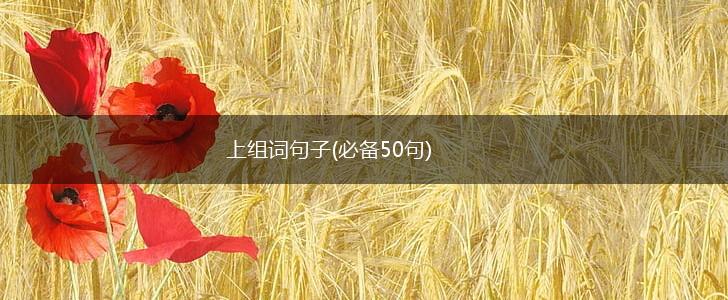 上组词句子(必备50句),第1张