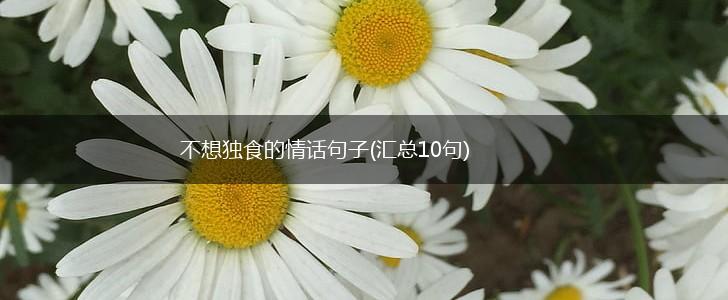 不想独食的情话句子(汇总10句),第1张